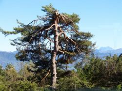 Click to see big picture (1024x768 pixels; 209 KB)