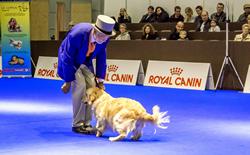 Click to see big picture (1024x635 pixels; 114 KB)