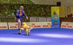 Click to see big picture (1024x636 pixels; 132 KB)