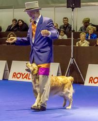 Click to see big picture (619x768 pixels; 96 KB)