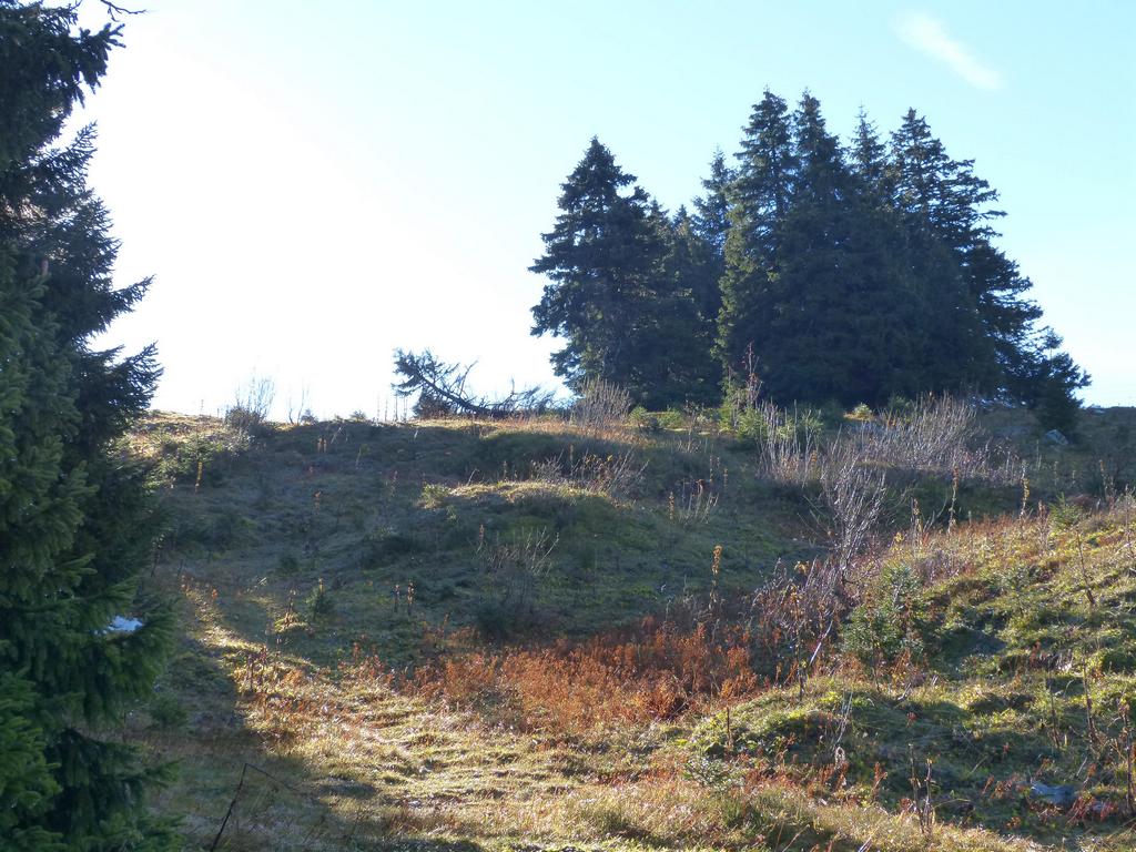 {Clic pour voir plus grand}