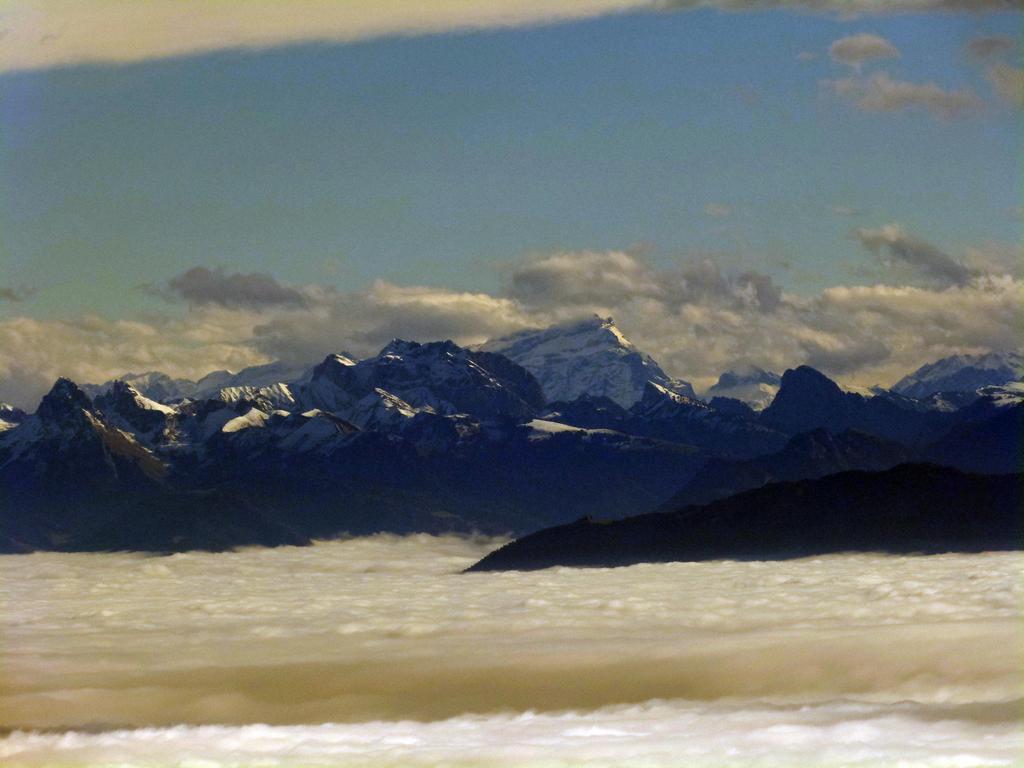 {Clic pour voir plus grand}