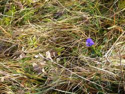 Click to see big picture (1024x768 pixels; 256 KB)