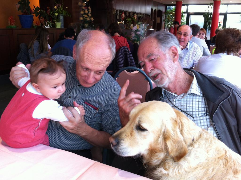 {Clic pour voir plus grand}