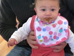 Click to see big picture (1024x768 pixels; 79 KB)