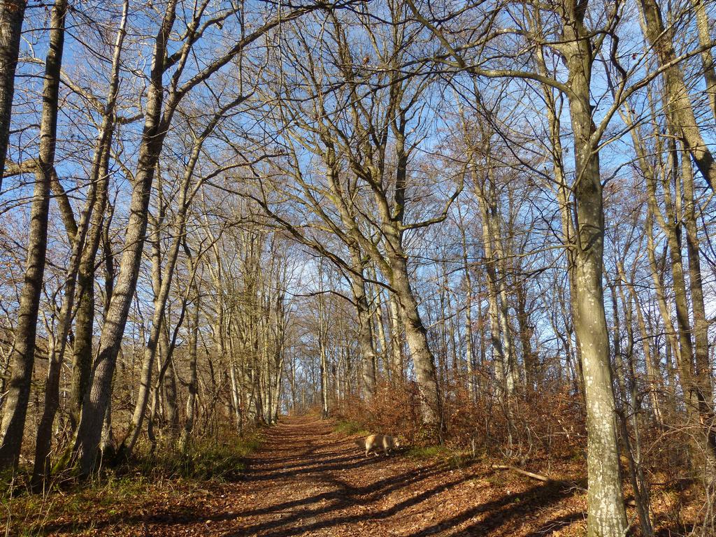 {Clic pour voir plus grand}