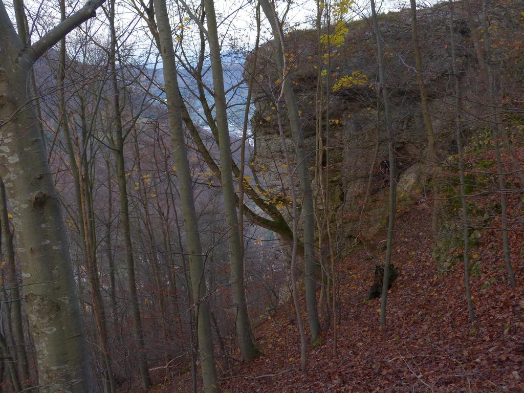 {Clic pour voir plus grand}