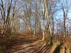 Click to see big picture (1024x768 pixels; 298 KB)