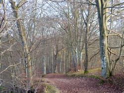 Click to see big picture (1024x768 pixels; 270 KB)