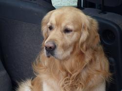 Click to see big picture (1024x768 pixels; 80 KB)