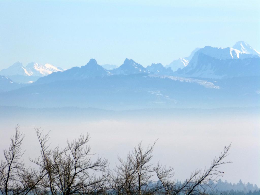 {Clic pour voir plus grand}