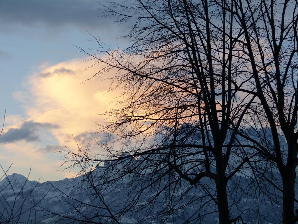 {Clic pour voir plus grand}