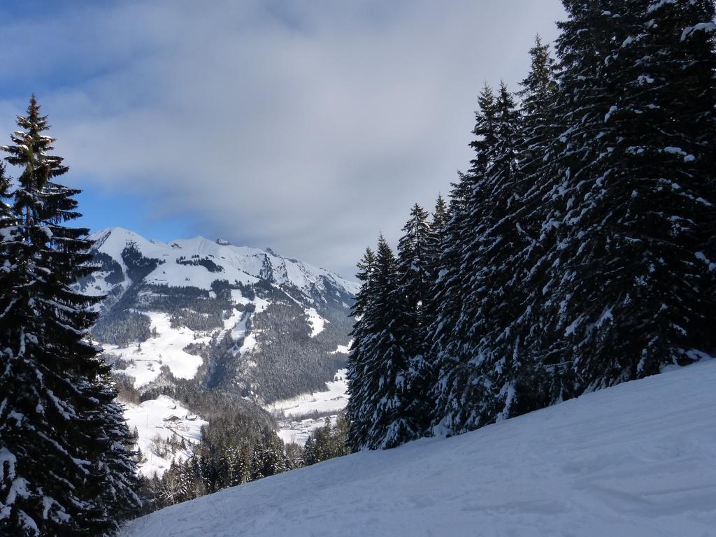 {Clic pour voir plus grand}