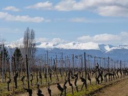 Click to see big picture (1024x768 pixels; 142 KB)