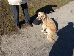 Click to see big picture (1024x768 pixels; 194 KB)