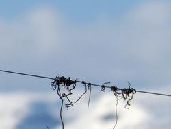 Click to see big picture (1024x768 pixels; 61 KB)