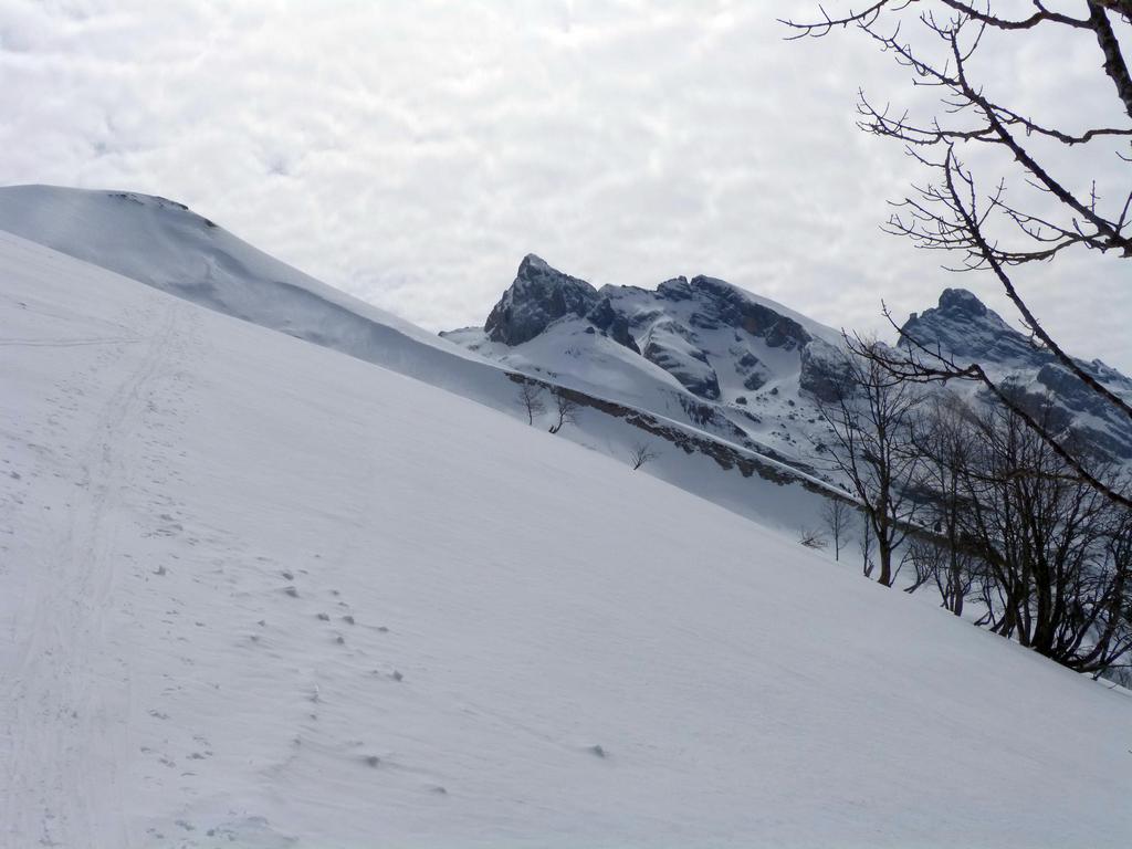 {Clic pour voir plus grand}