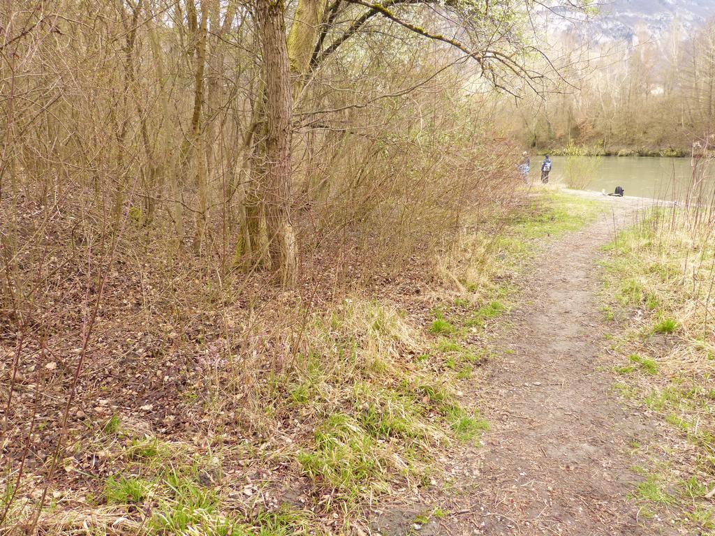 {Clic pour voir plus grand}