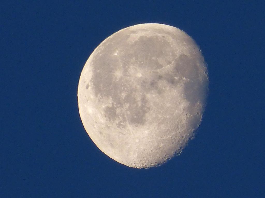 {Clic pour voir plus grand}