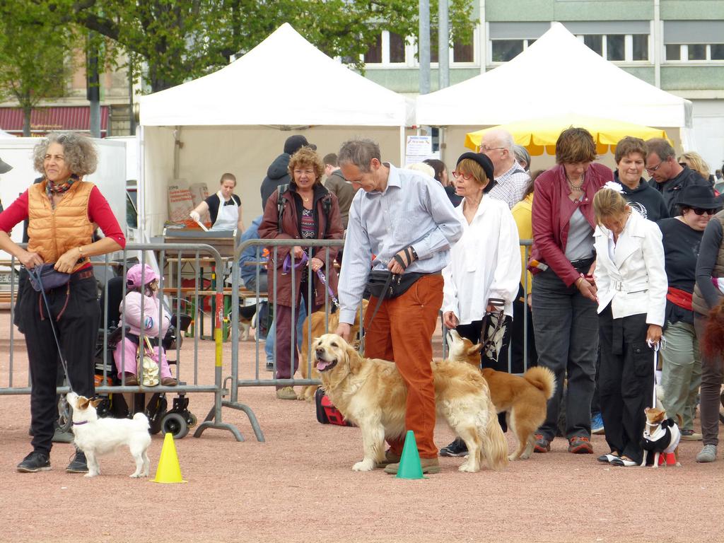 {Clic pour voir plus grand}