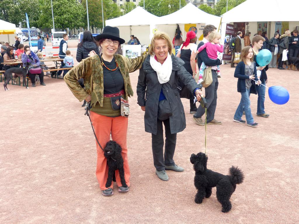 {Clic pour voir plus grand}