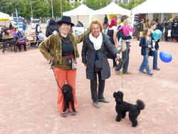 Click to see big picture (1024x768 pixels; 163 KB)