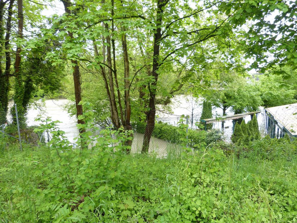 {Clic pour voir plus grand}