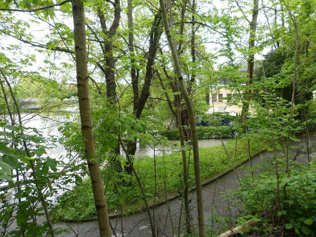 {Clic pour voir plus grand}