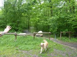 Click to see big picture (1024x768 pixels; 230 KB)