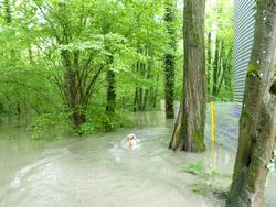 Click to see big picture (1024x768 pixels; 186 KB)