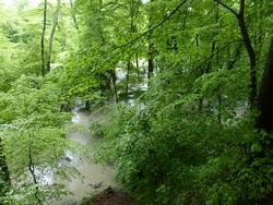 Click to see big picture (1024x768 pixels; 214 KB)