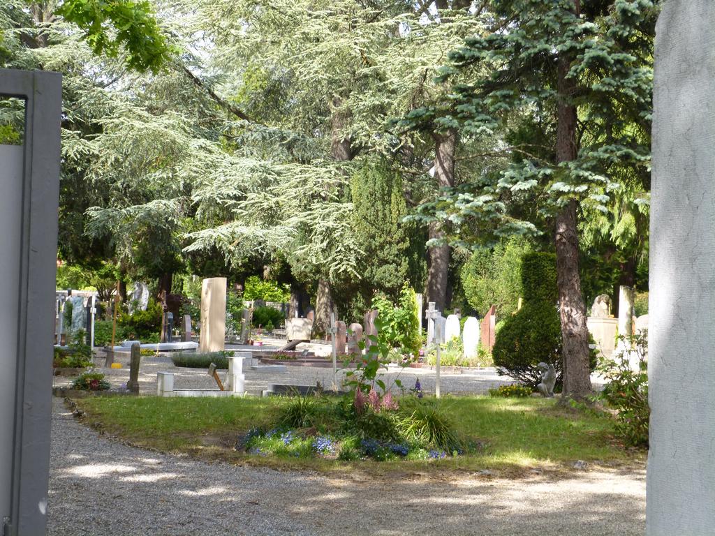 {Clic pour voir plus grand}