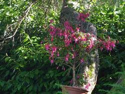 Click to see big picture (1024x768 pixels; 168 KB)