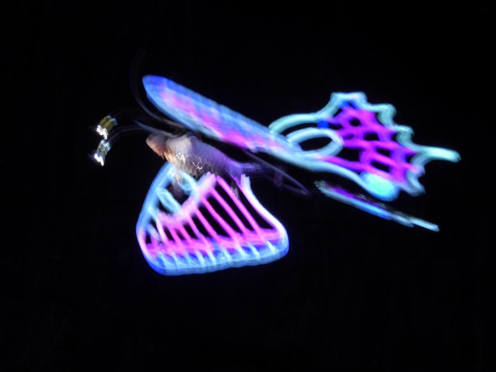 {Clic pour voir plus grand}