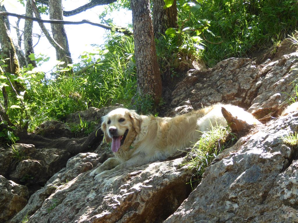 {Clic pour voir plus grand}