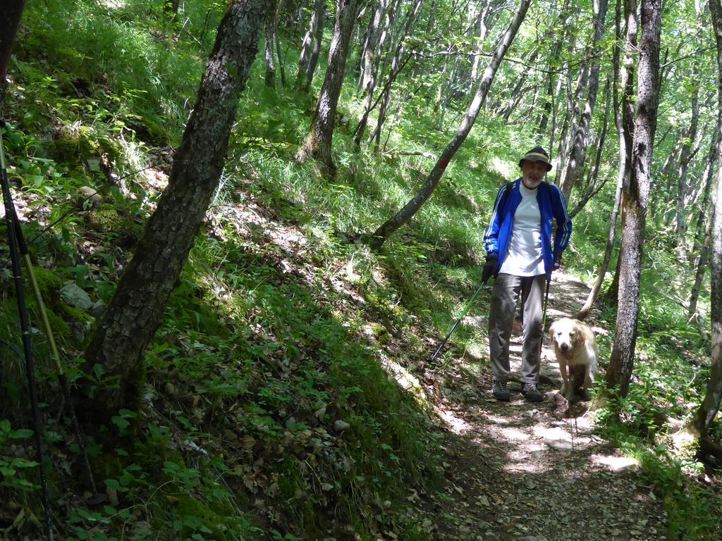 {Clic pour voir plus grand}