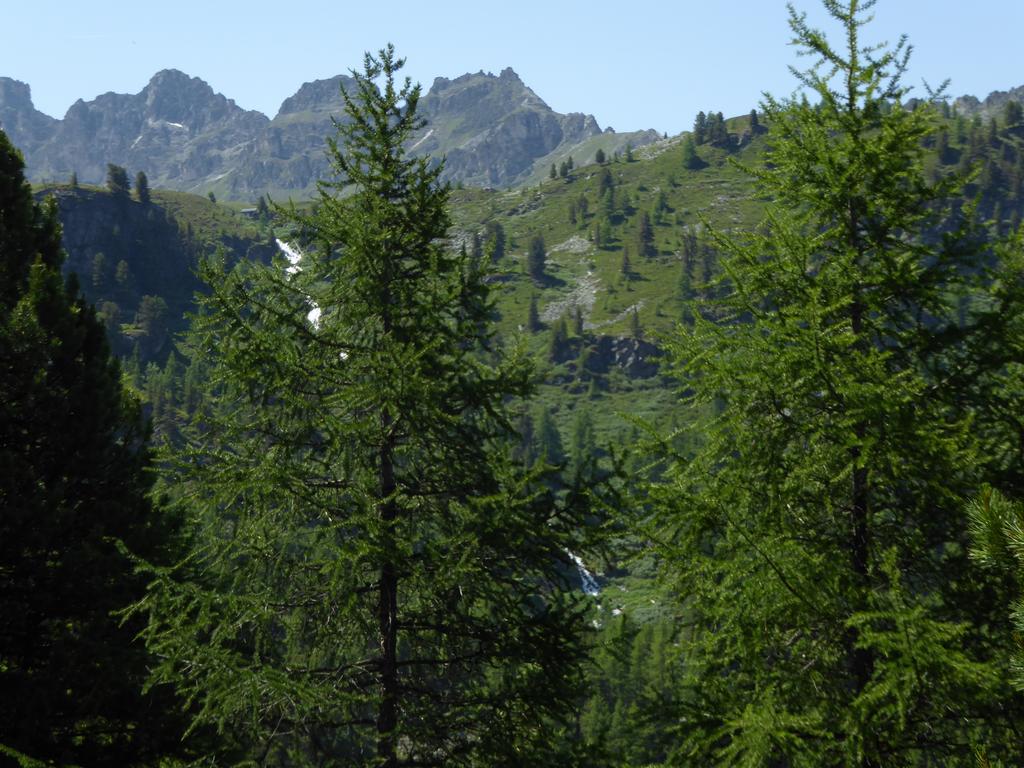 {Clic pour voir plus grand}