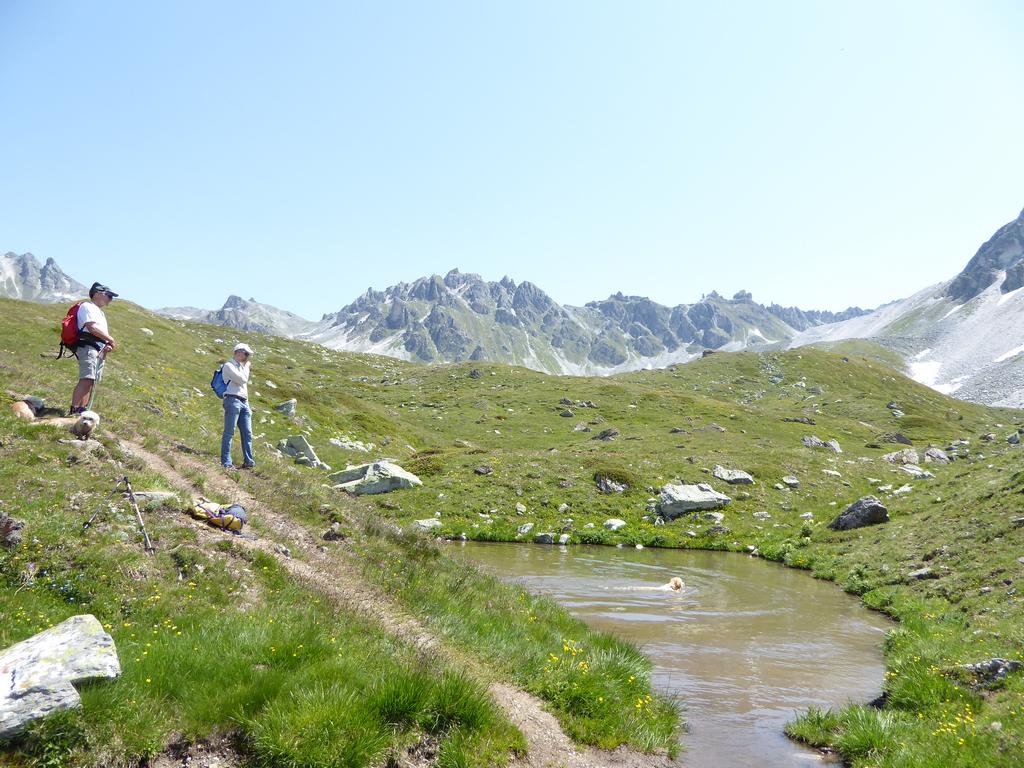 {Clic pour voir plus grand}