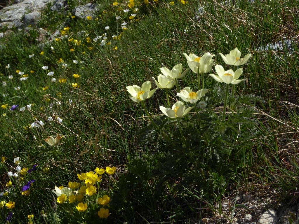 {Clic pour voir plus grand}