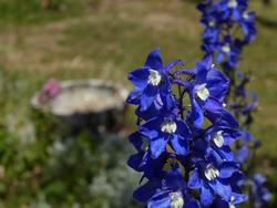 Click to see big picture (1024x768 pixels; 75 KB)