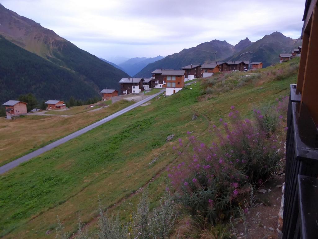 {Clic pour voir plus grand}