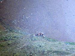 Click to see big picture (1024x768 pixels; 129 KB)