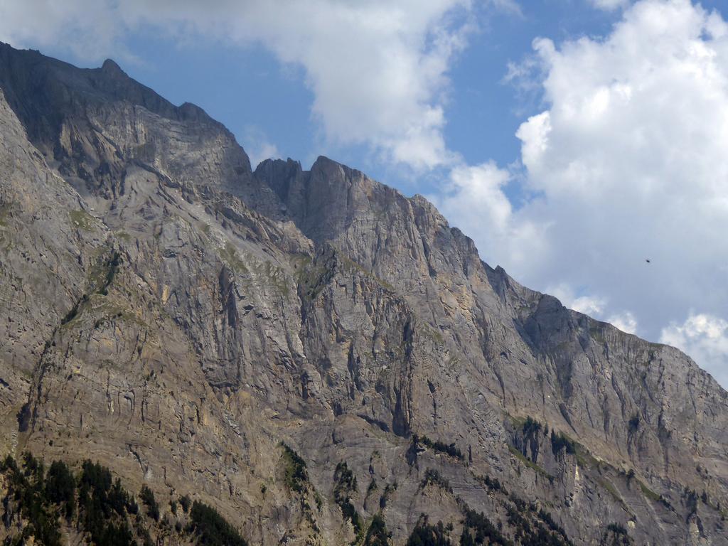 {Clic pour voir plus grand}