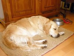 Click to see big picture (1024x768 pixels; 79 KB)