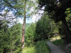 Click to see big picture (1024x768 pixels; 241 KB)