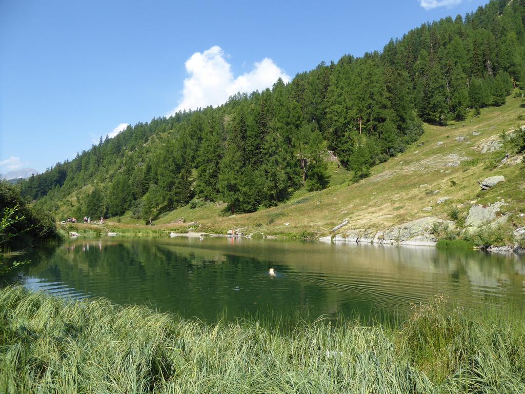 {Clic pour voir plus grand}