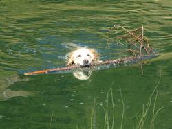 Click to see big picture (1024x768 pixels; 119 KB)