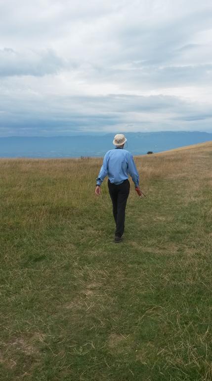 {Clic pour voir plus grand}