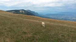 Click to see big picture (1024x576 pixels; 88 KB)