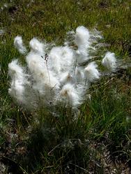 Click to see big picture (576x768 pixels; 137 KB)